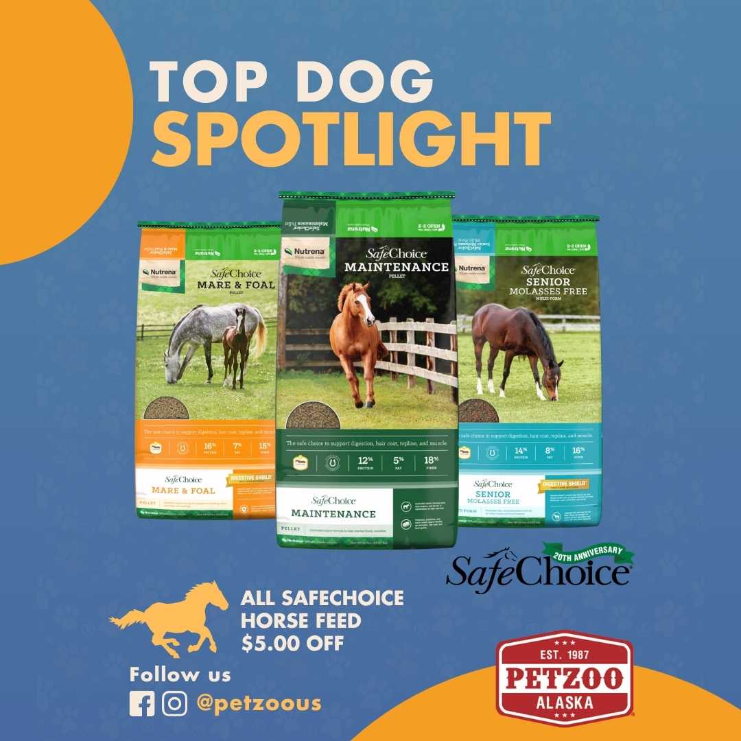 petzoo top dog spotlight sale 6 SafeChoice Deals at PetZoo