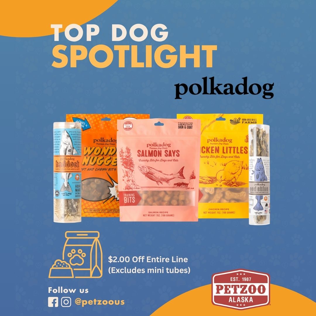 polkadog