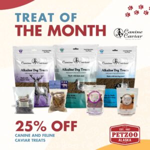 petzoo treat of the month december