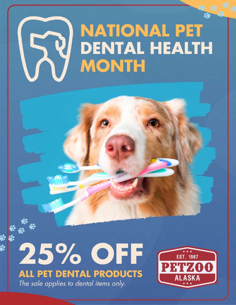 national pet dental health sale at petzoo