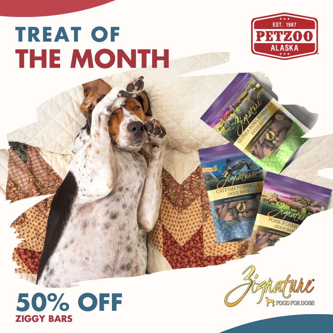 Zignature ziggy bars in anchorage alaska Zignature ziggy bars in anchorage alaska