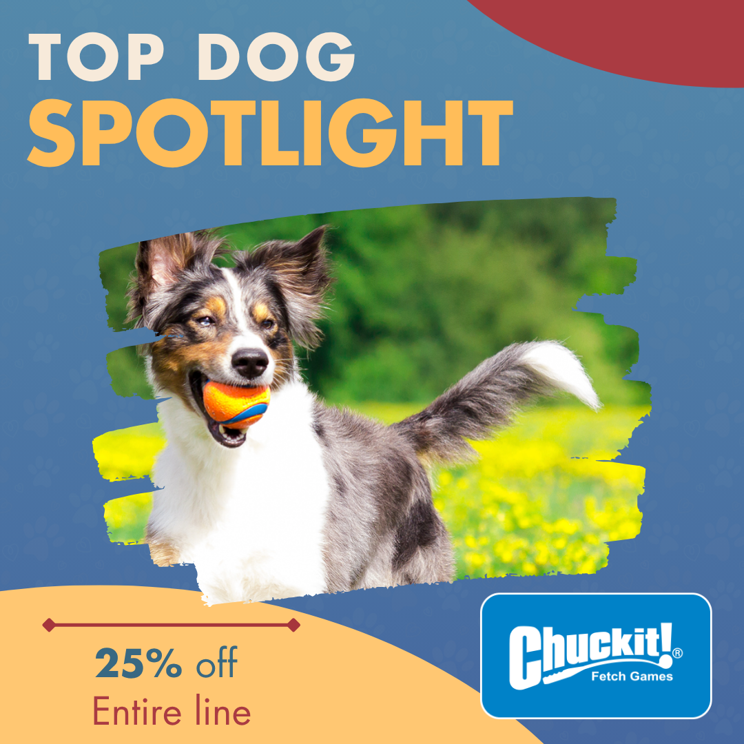 Chuckit! dog toys in Anchorage AK