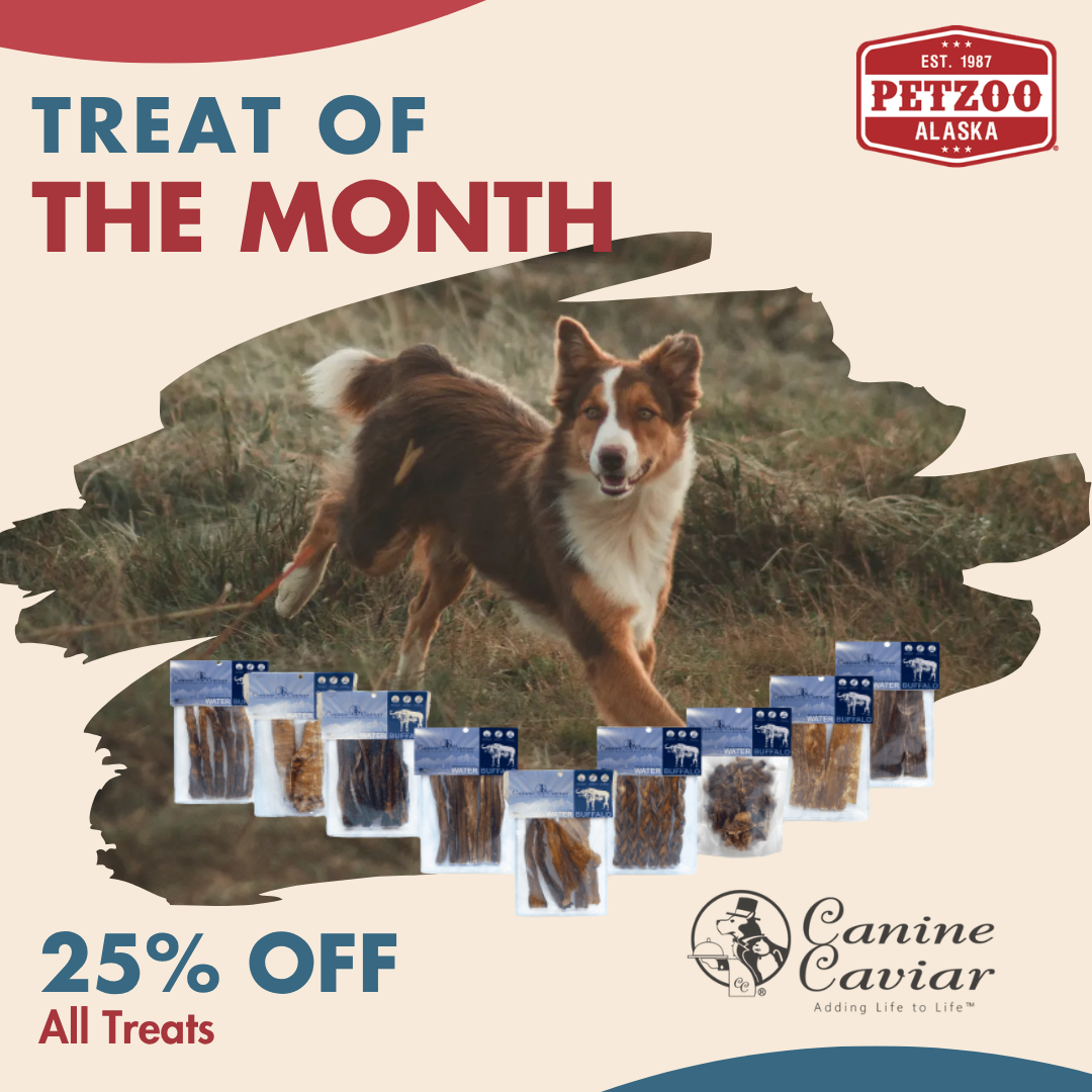 canine caviar in anchorage alaska