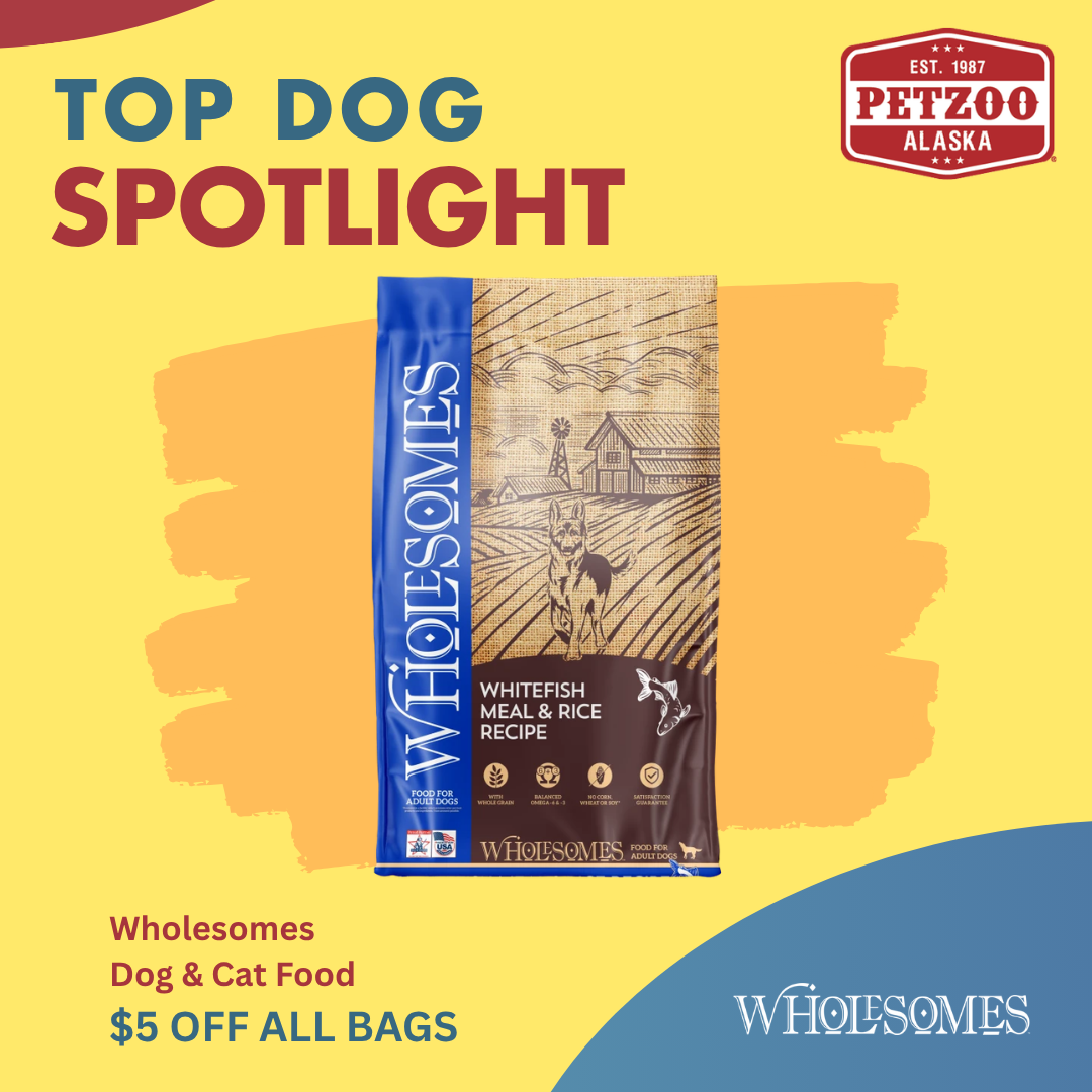 Wholesomes Dog & Cat Food